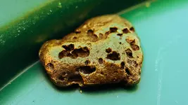Nugget Edit 1.webp