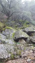 20171125_102255.webp