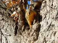 walk 010918 3.webp