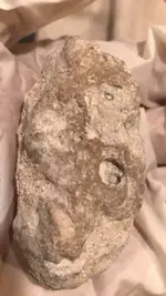 Rare metal .webp
