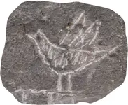 birdie.webp