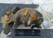 IMG_20171230_1457195.webp