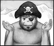 pirate_yet_closeup.webp pirate_yet_closeup.webp