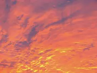 Godsartwork (Large).webp