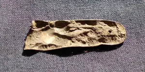 Silver Piece Reverse.webp Silver Piece Reverse.webp