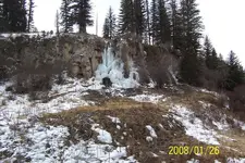 bluff springs.webp