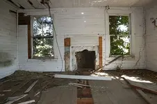 greer1.webp