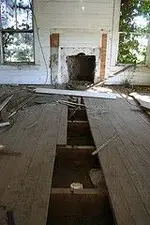 greer2.webp