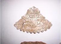 Unknown3.webp