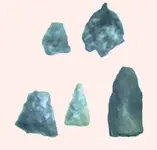 Jan 08 2.webp