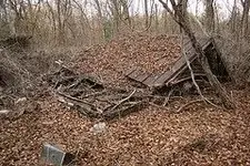 anderson bottle barn.webp