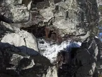 HPIM0198 (Small).webp