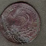 dragon_back.webp