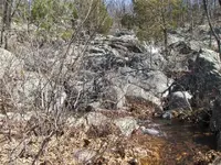 HPIM0199 (Small).webp