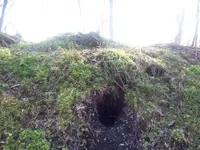 foxhole.webp