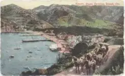 avalon1.webp