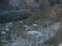Canyon 004.webp