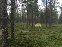 tältet.webp