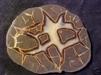 Septarian.webp