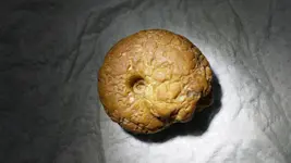 1129171305c.webp