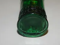 DSCN8472.webp