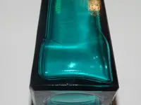 DSCN8474.webp