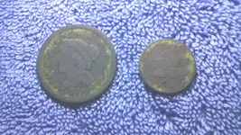 coins.webp