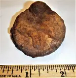 Disc Rusted.webp