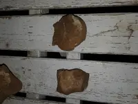 20171210_170513[1].webp