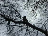 walk 122117 5.webp