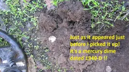 Finds 12-10-17 005.webp