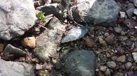 20170426_095352.webp