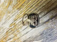20171230_175617.webp