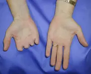 hands.webp