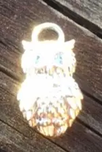 sterlingowl1.webp