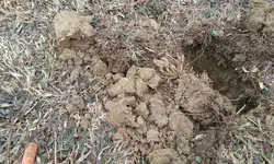 20180110_113135.webp
