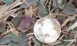 20180110_113242.webp