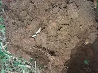 20180124_163544.webp