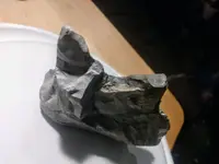 20180116_234022.webp