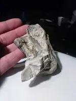 20180116_234352.webp