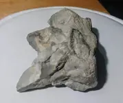 20180116_233552.webp