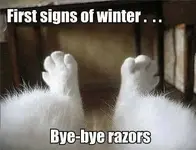 firstsignofwinter.webp