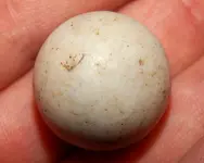 DSCN8602.webp