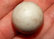 DSCN8603.webp