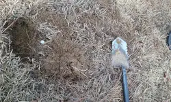20180130_114507.webp