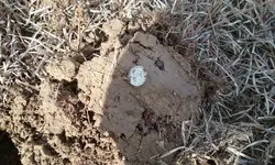 20180130_113445.webp
