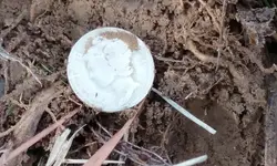 20180130_113154.webp