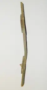 DSCN8673.webp