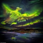 Northern Lights over Iceland.jpg