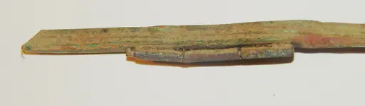 DSCN8677.webp